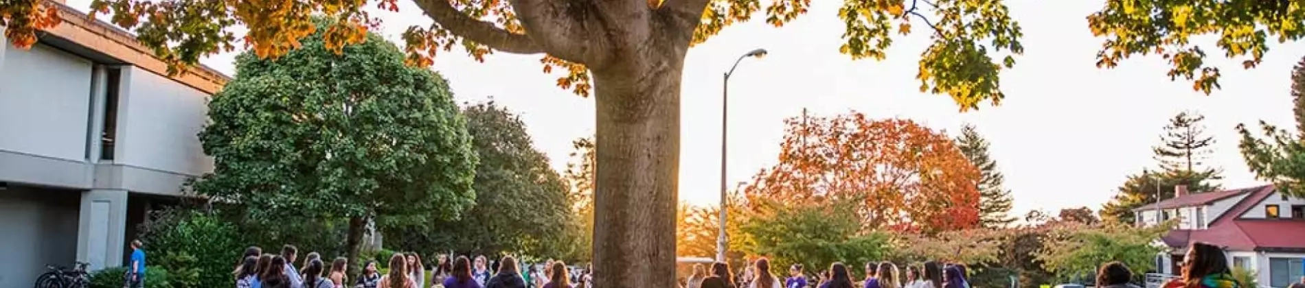 Environmental Science - Ecological Restoration